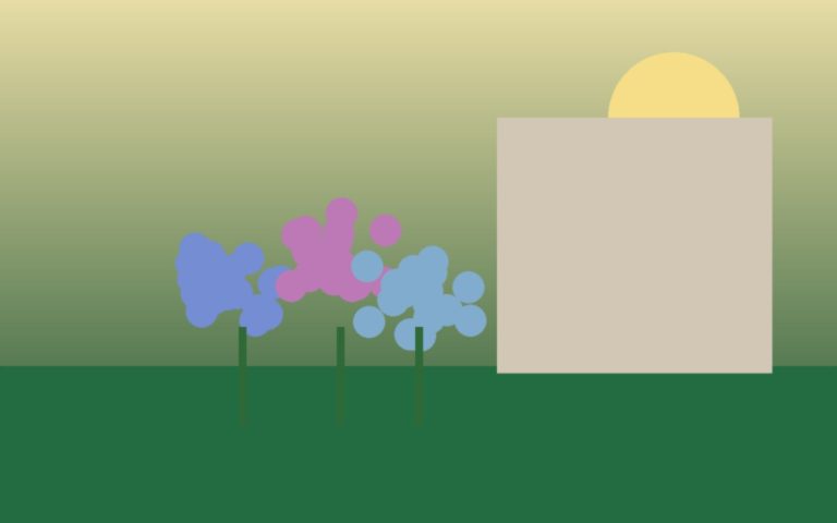 hortensia en pleine terre près d’un mur